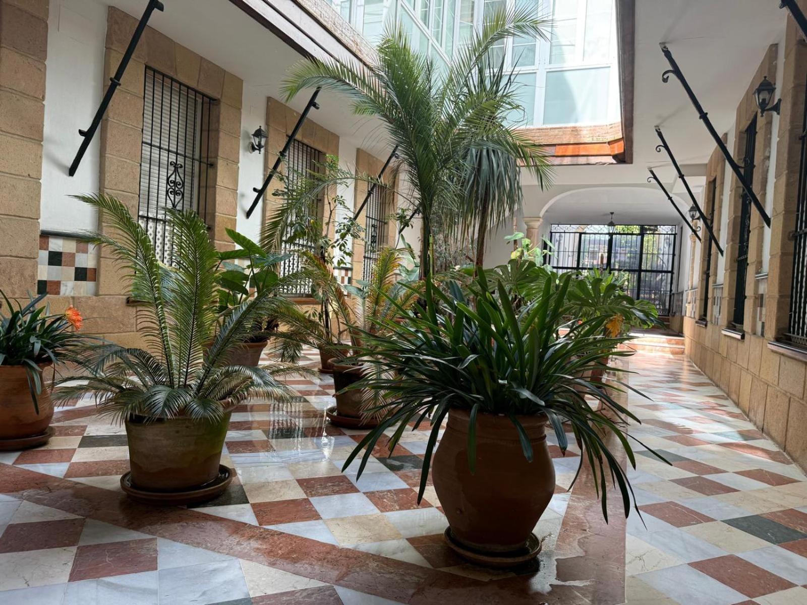 Apartamento Casa Palacio 1890. El Puerto de Santa María Exteriér fotografie